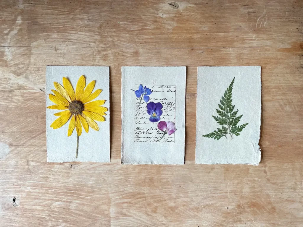 Dried flowers and fern on handmade paper.
