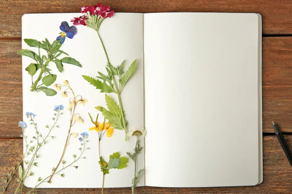 Open notebook with pressed flowers and leaves.